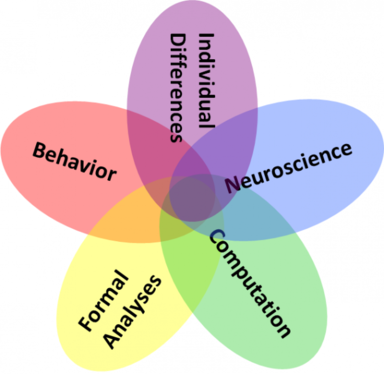 Intersection of disciplines