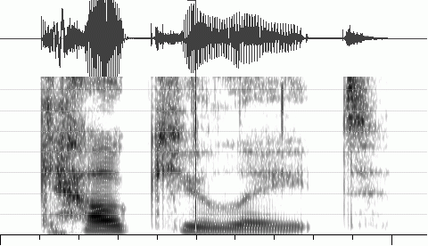 Speech waveform